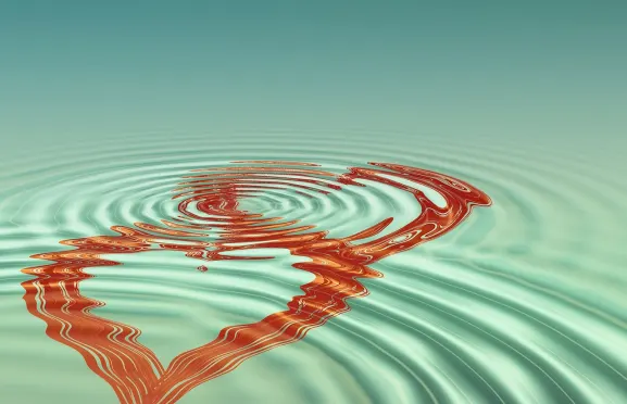 Lottofy Casino Support